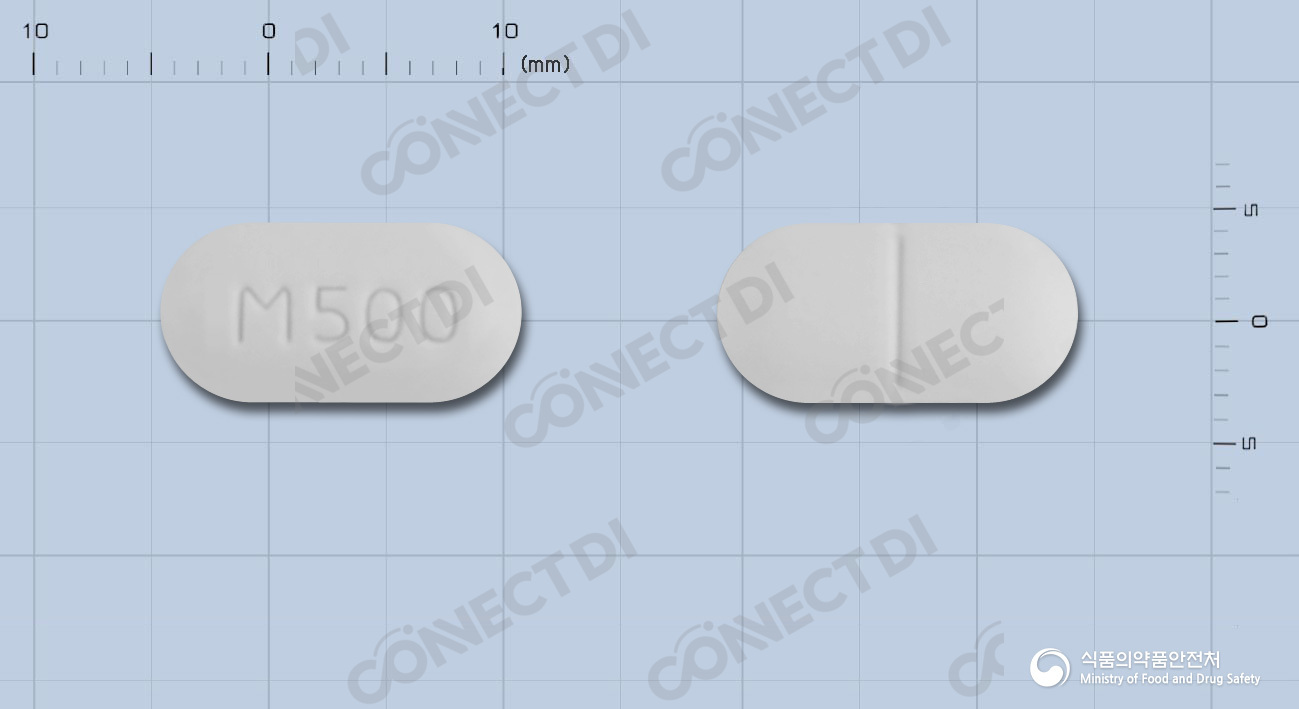 메트파민정 500mg