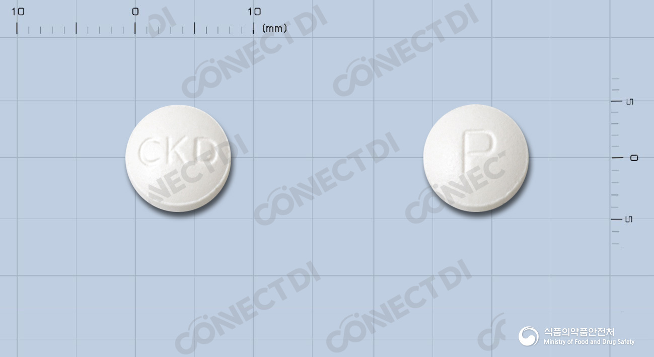 포독스정 100mg