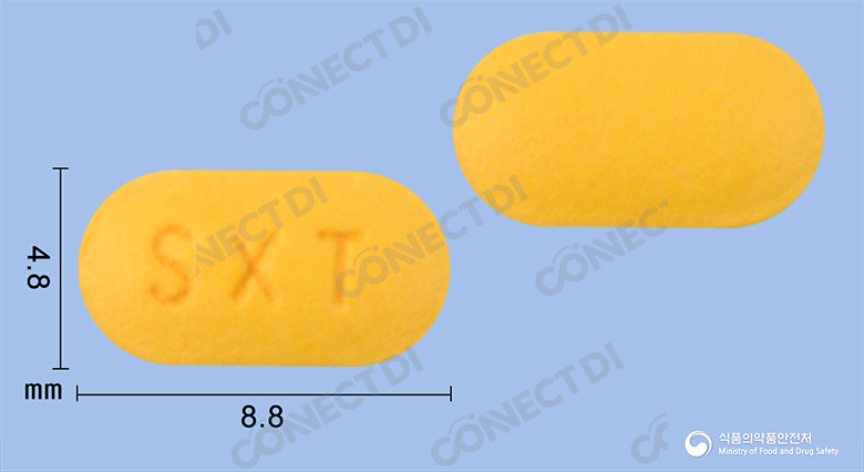 한독세로자트정 10mg