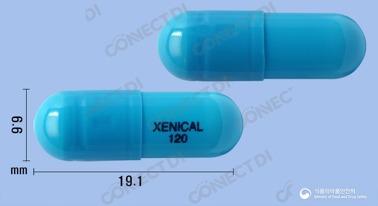 제니칼캡슐 120mg