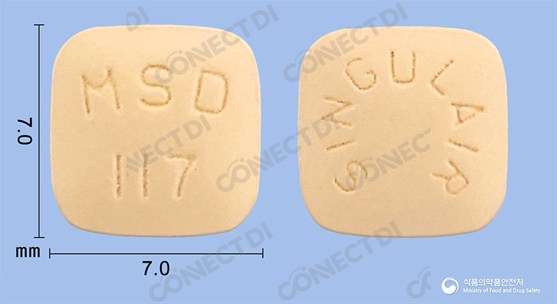 싱귤레어정 10mg
