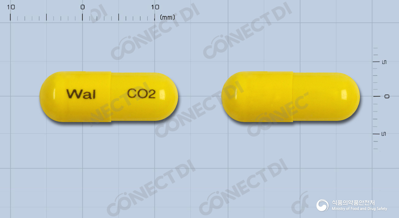 엔터폴캡슐 200mg