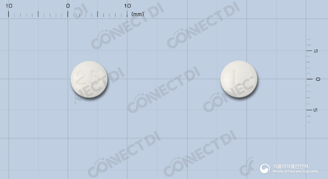 레보필정 25mg
