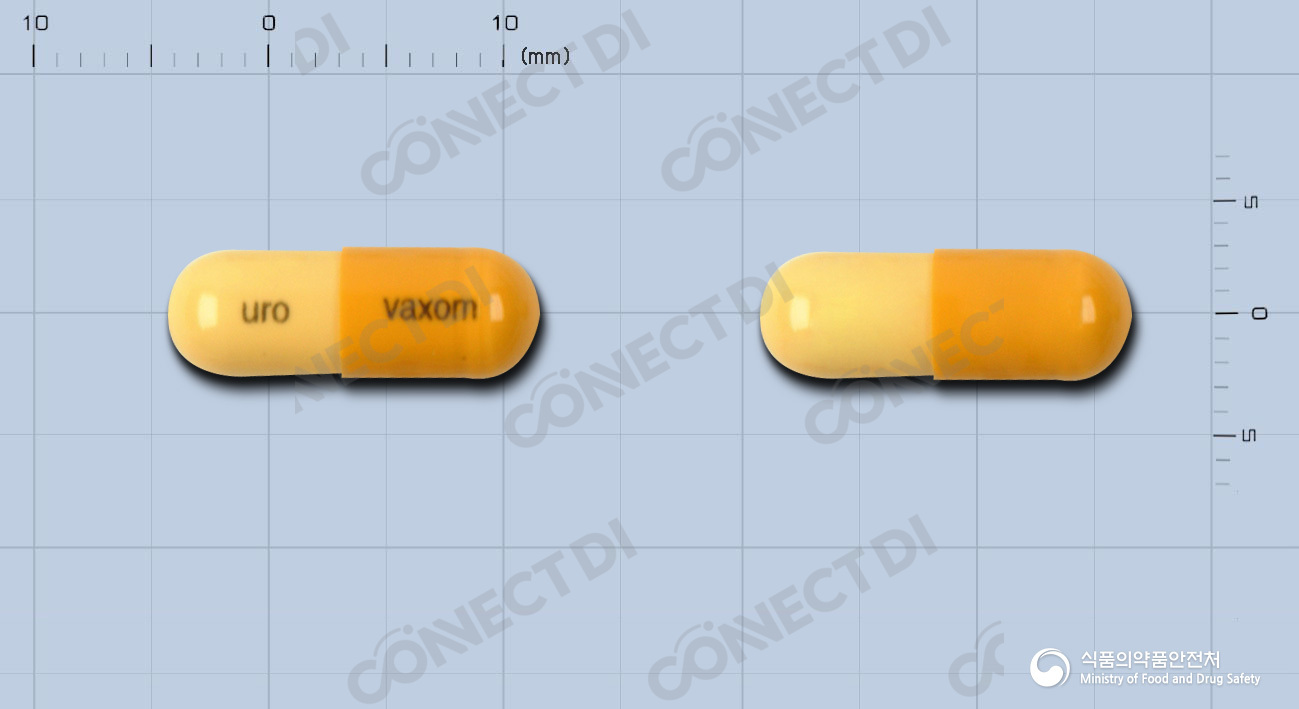 유로박솜캡슐 60mg