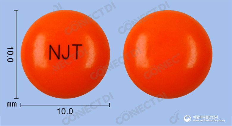 뉴진탈정 100mg (수출용)