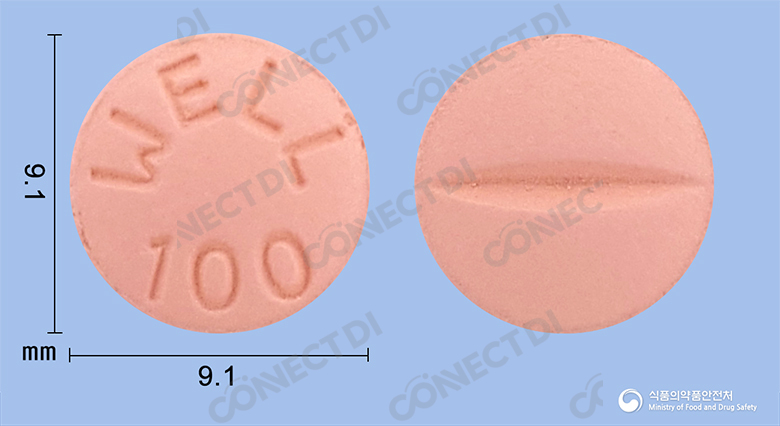 웰정 100mg