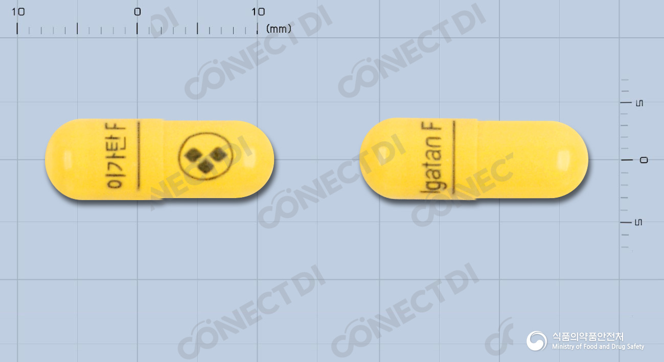 이가탄에프캡슐