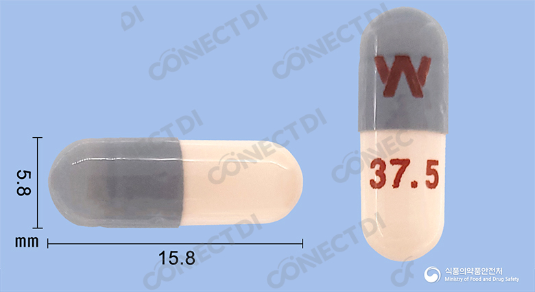 이팩사엑스알서방캡슐 37.5mg