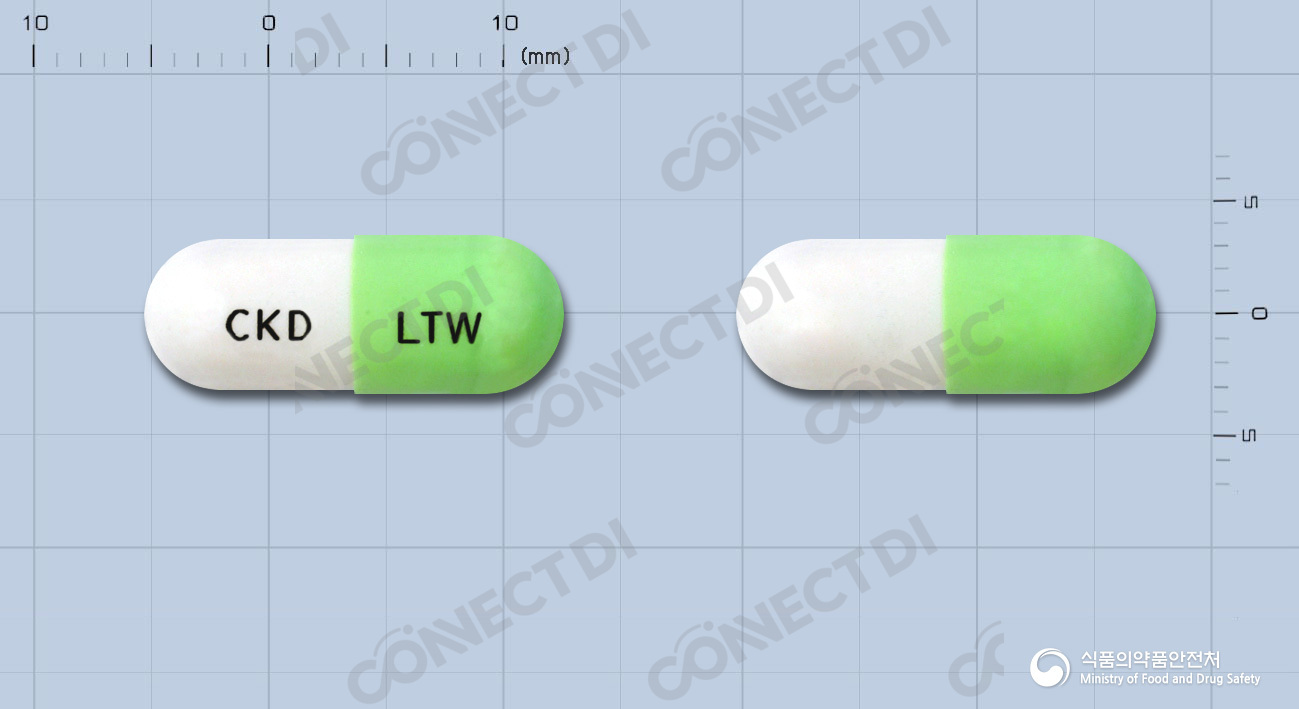 락토웰장용캡슐 250mg