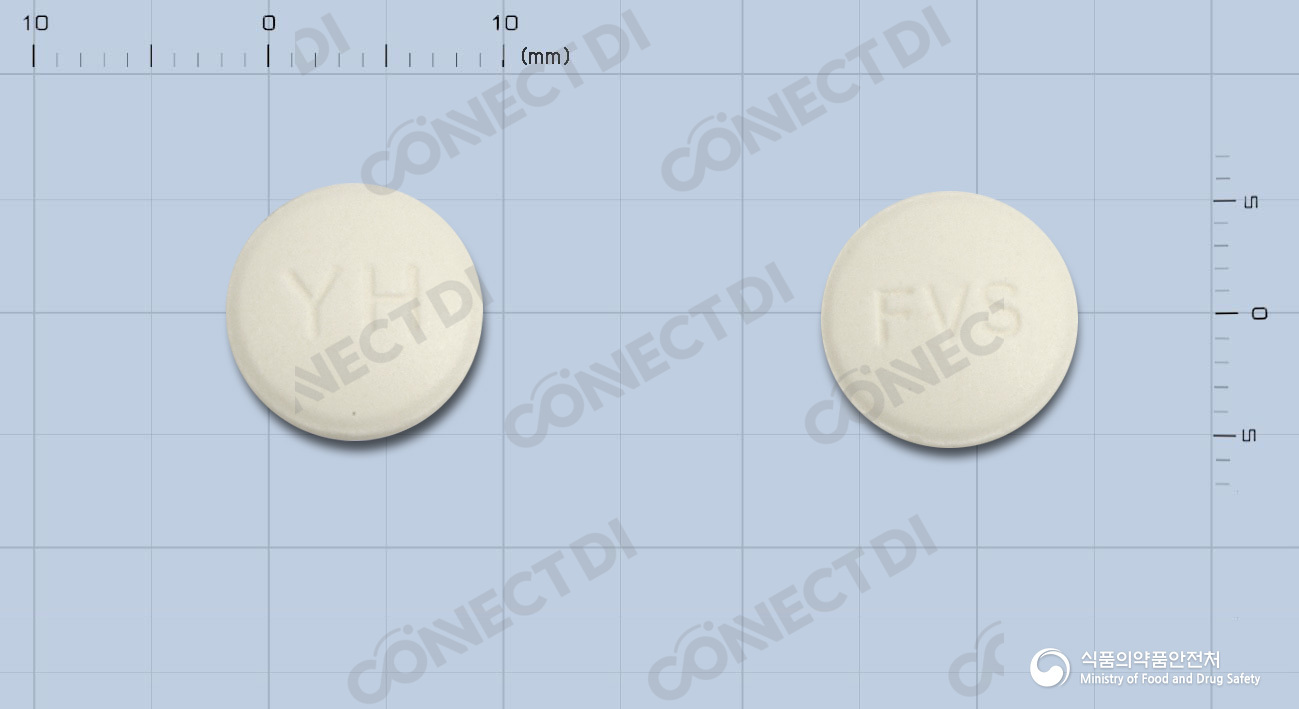 팜빅스정 250mg