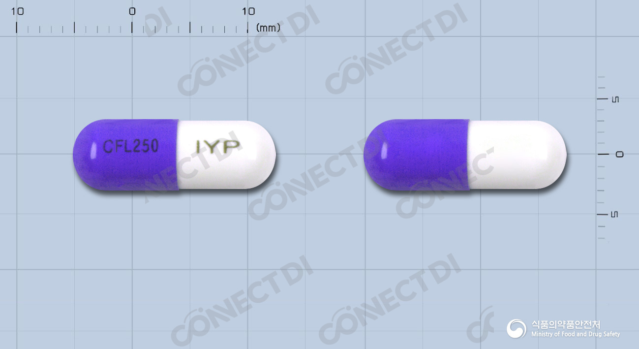 일양세파클러캡슐 250mg