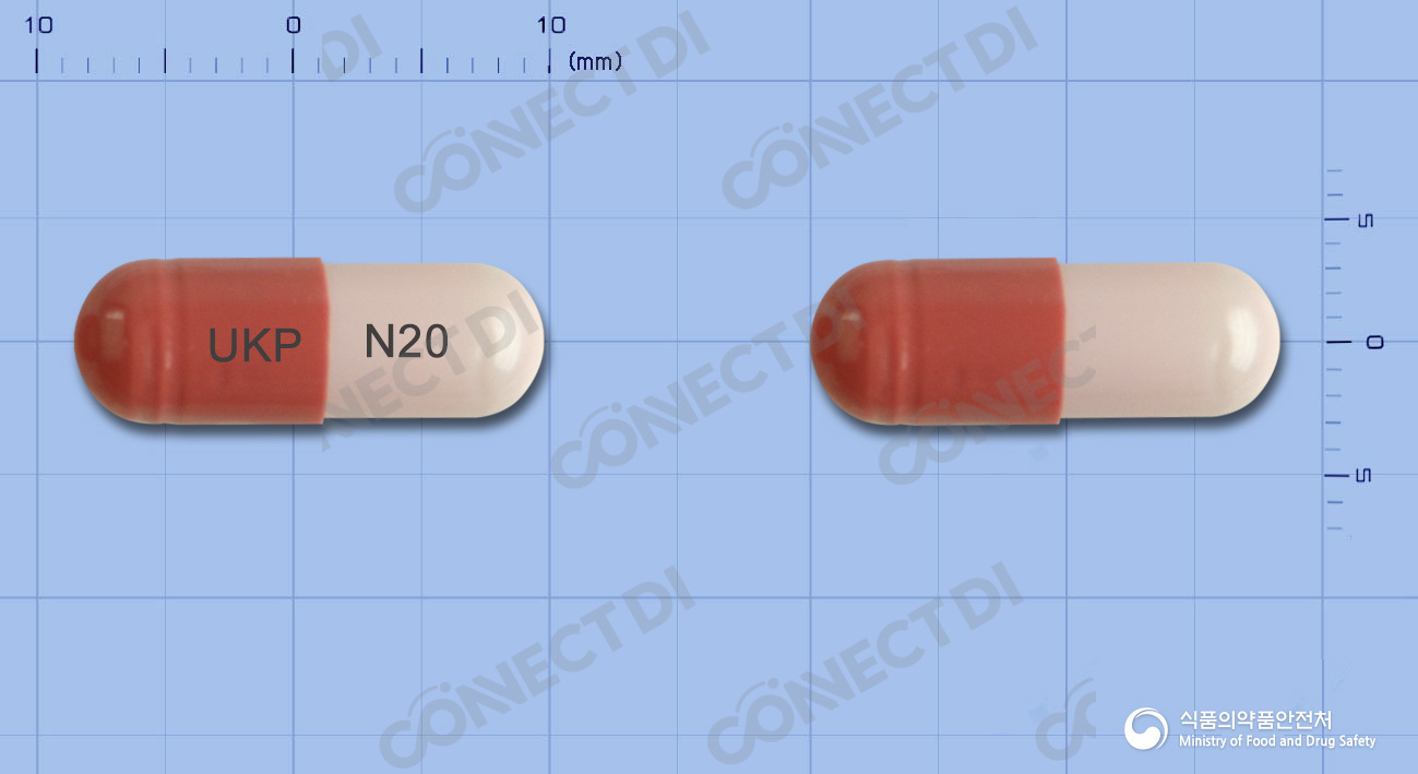 뉴섹캡슐 20mg (수출용)