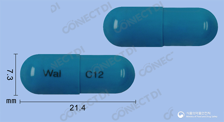 세프젠캡슐 500mg