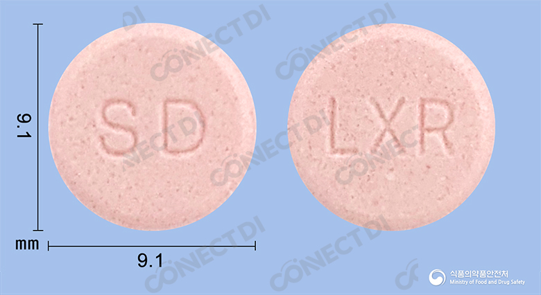 록소론정 60mg