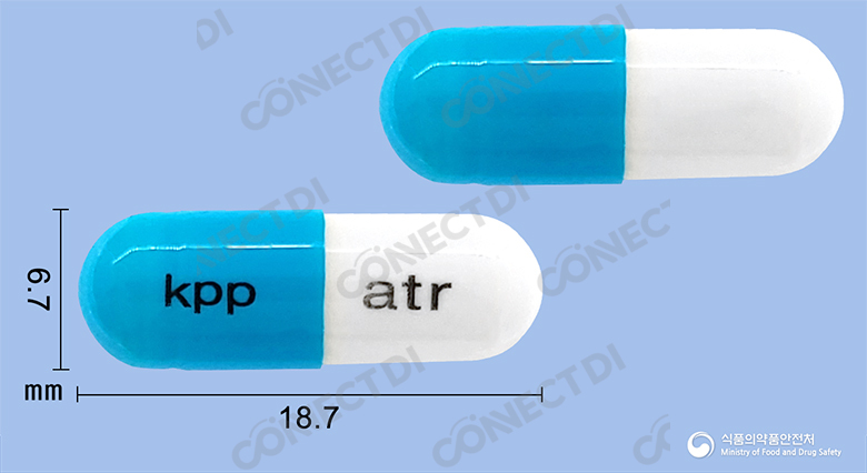 안티러캡슐 250mg