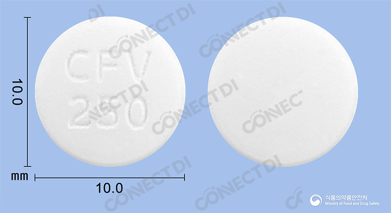팜스터정 250mg