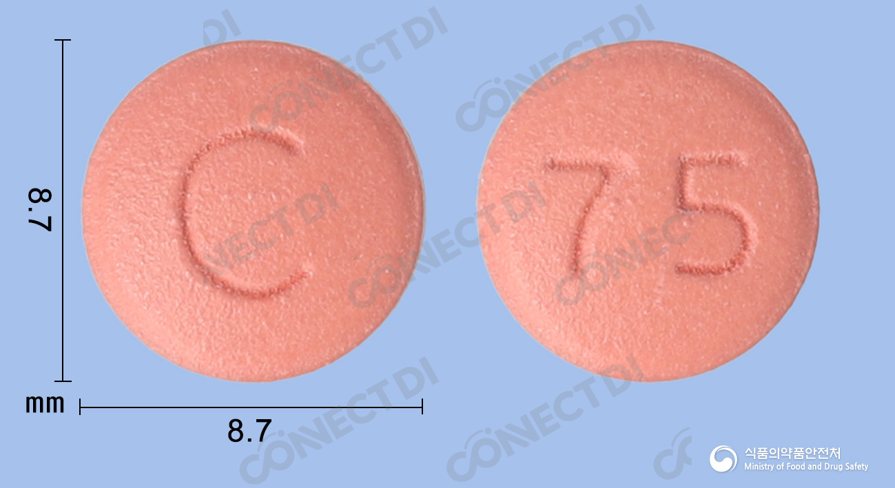 플라비톨정 75mg