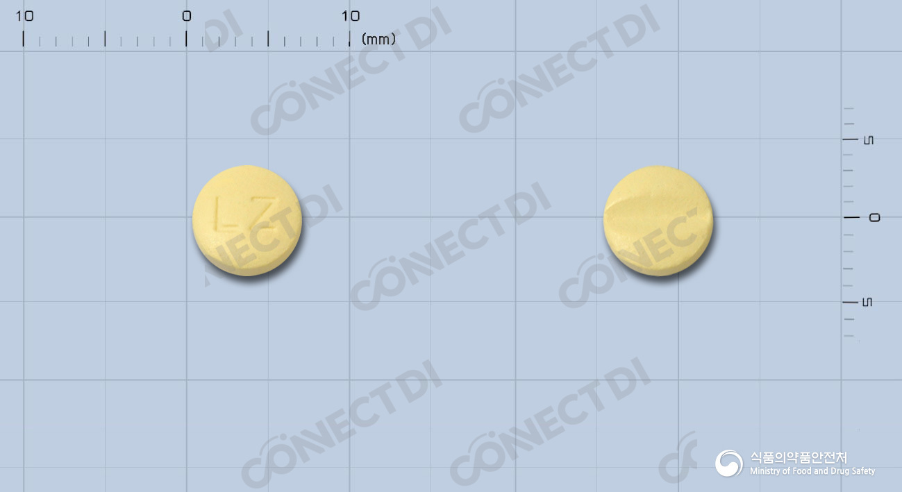 레자딥정 10mg
