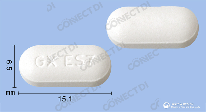 진네트정 250mg
