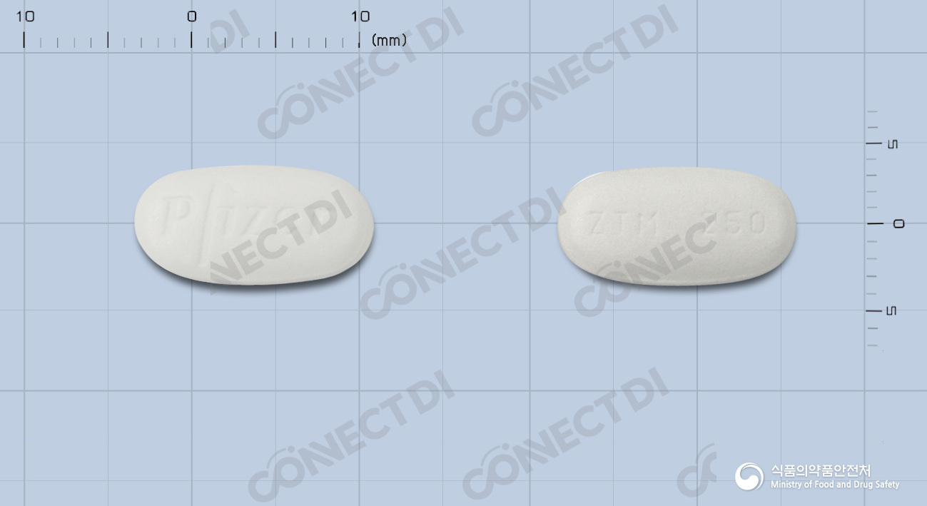 지스로맥스정 250mg