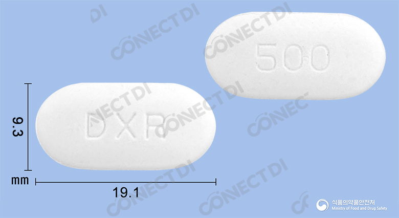 다이아벡스엑스알서방정 500mg