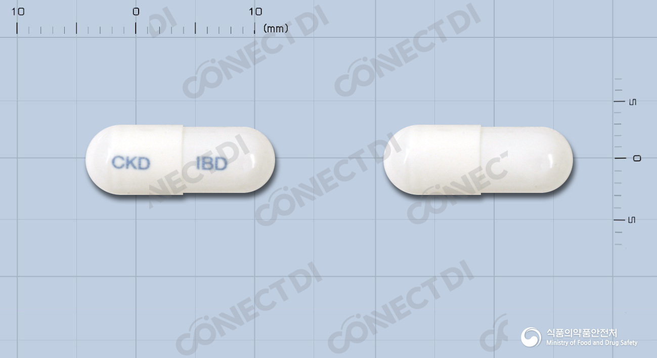 딜라스트캡슐 10mg