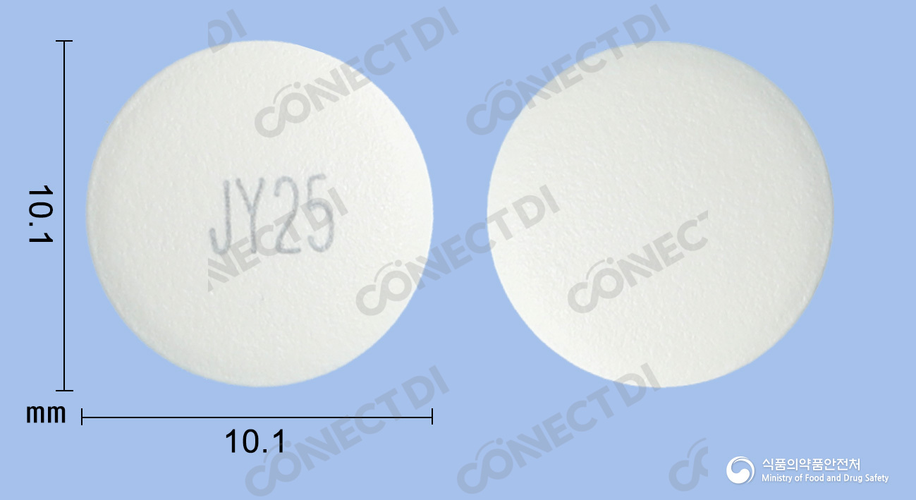팜비신정 250mg