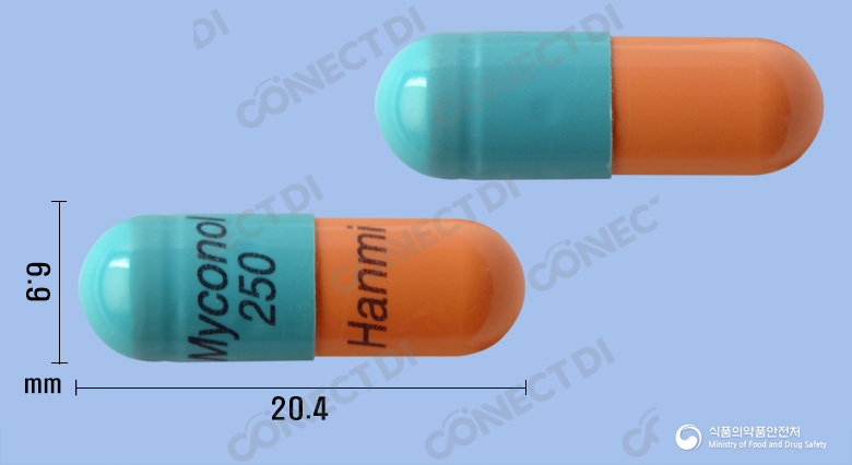 마이코놀캡슐 250mg