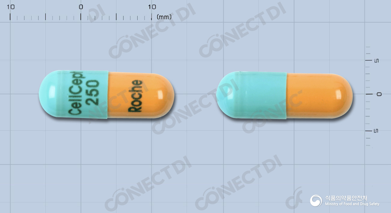 셀셉트캡슐 250mg