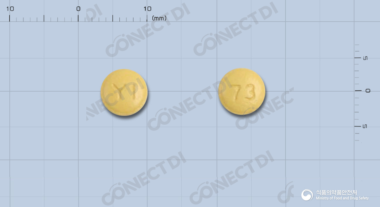 파비졸정 10mg