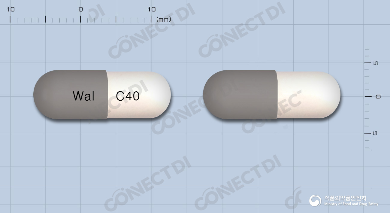 뉴세필캡슐 100mg