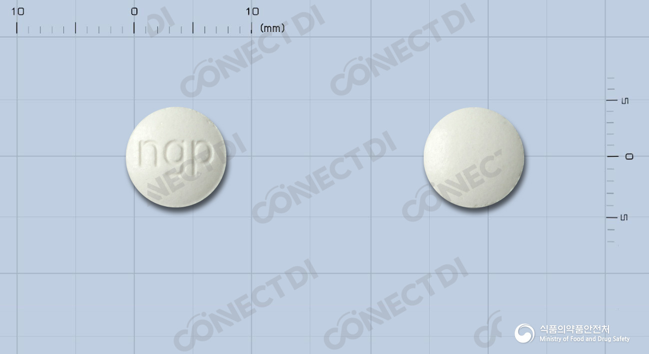 레프로스정 60mg