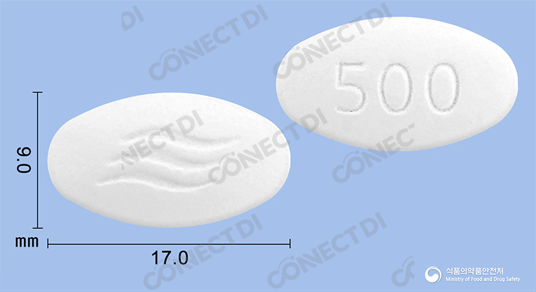 애니목스정 500mg