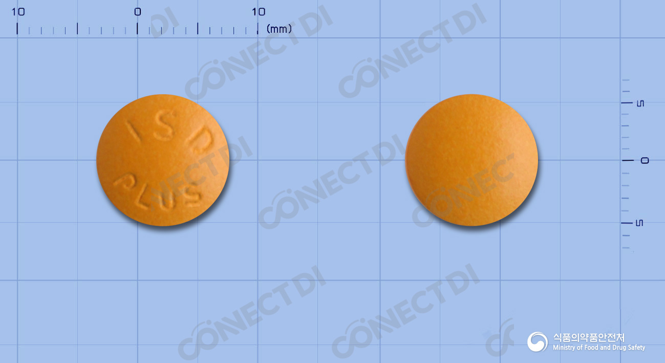 인사돌플러스정