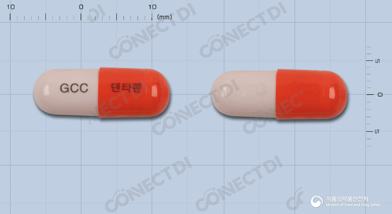 덴타렌캡슐