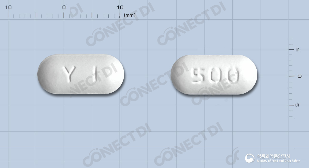 아목사정 500mg