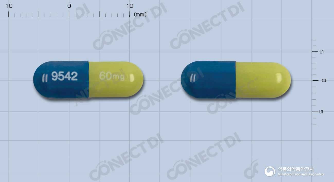 심발타캡슐 60mg