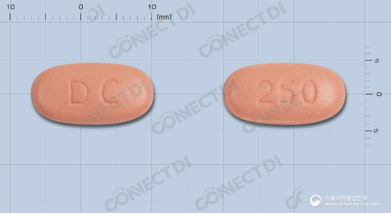 동구레보플록사신수화물정 250mg