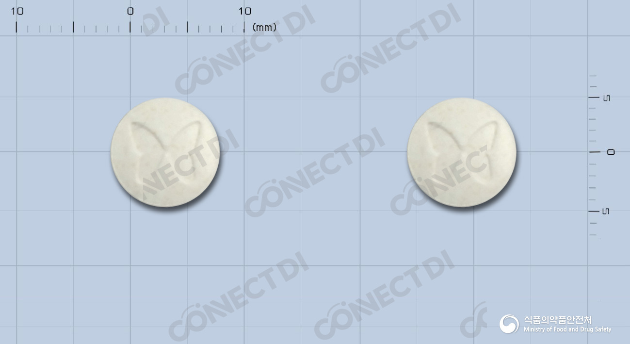 레미페민정 2.5mg