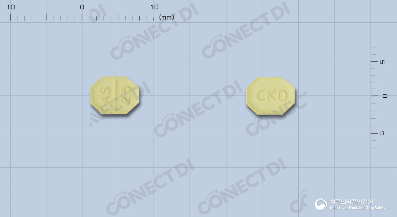애니디핀에스정 2.5mg