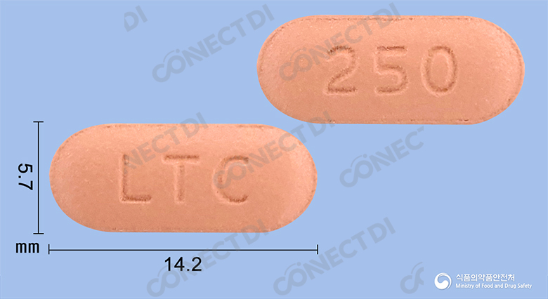 렉타신정 250mg