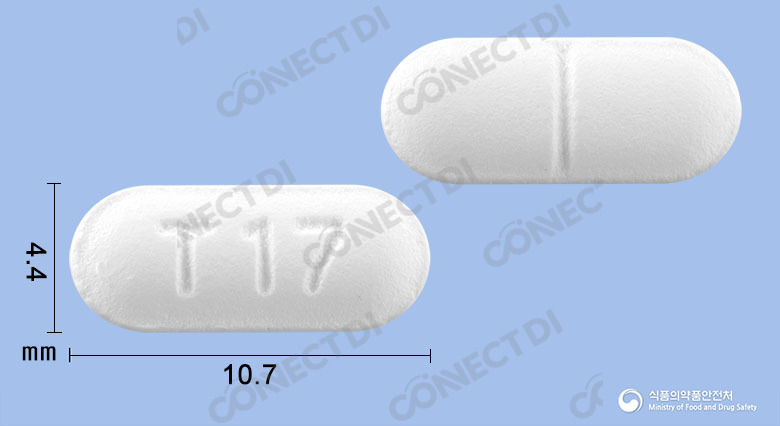 세티스정 10mg