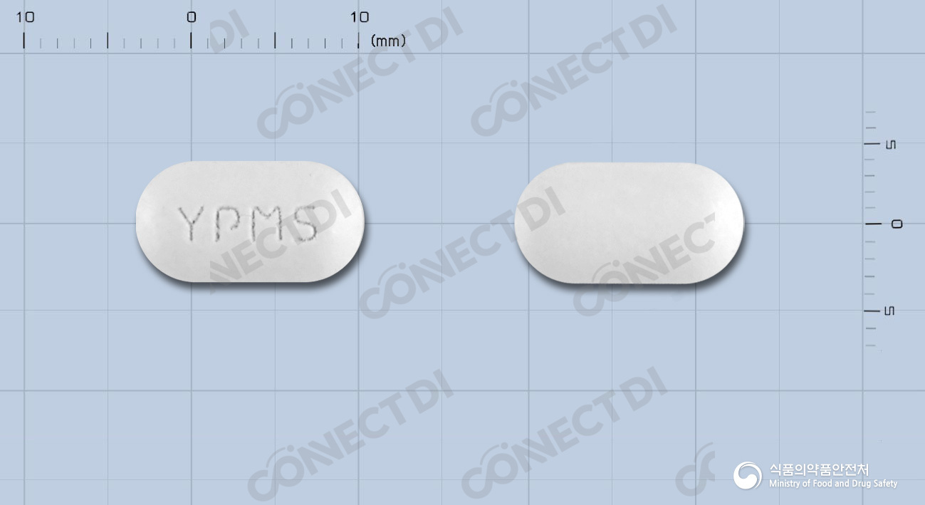 맥스타제-에스정