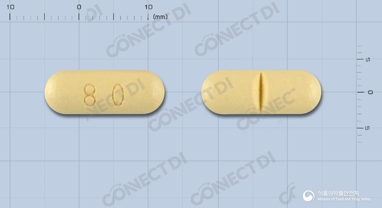 페브릭정 80mg