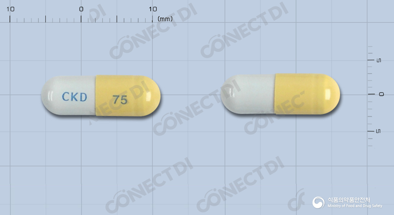 타미비어캡슐 75mg