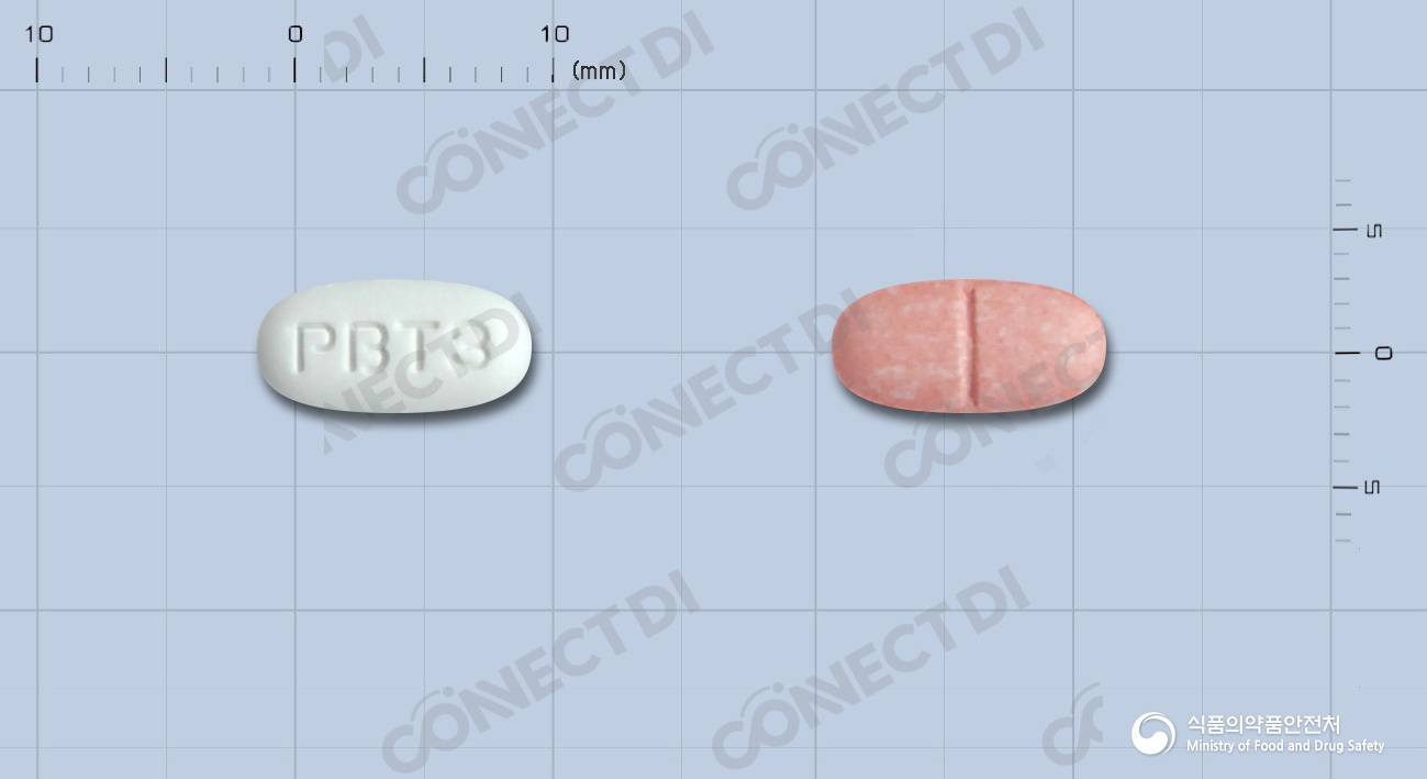 텔카탄플러스정 40/12.5mg