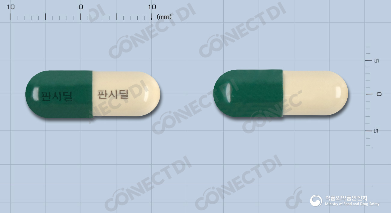 판시딜캡슐