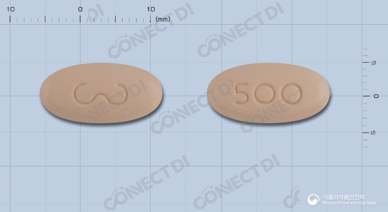 위더스레보플록사신정 500mg