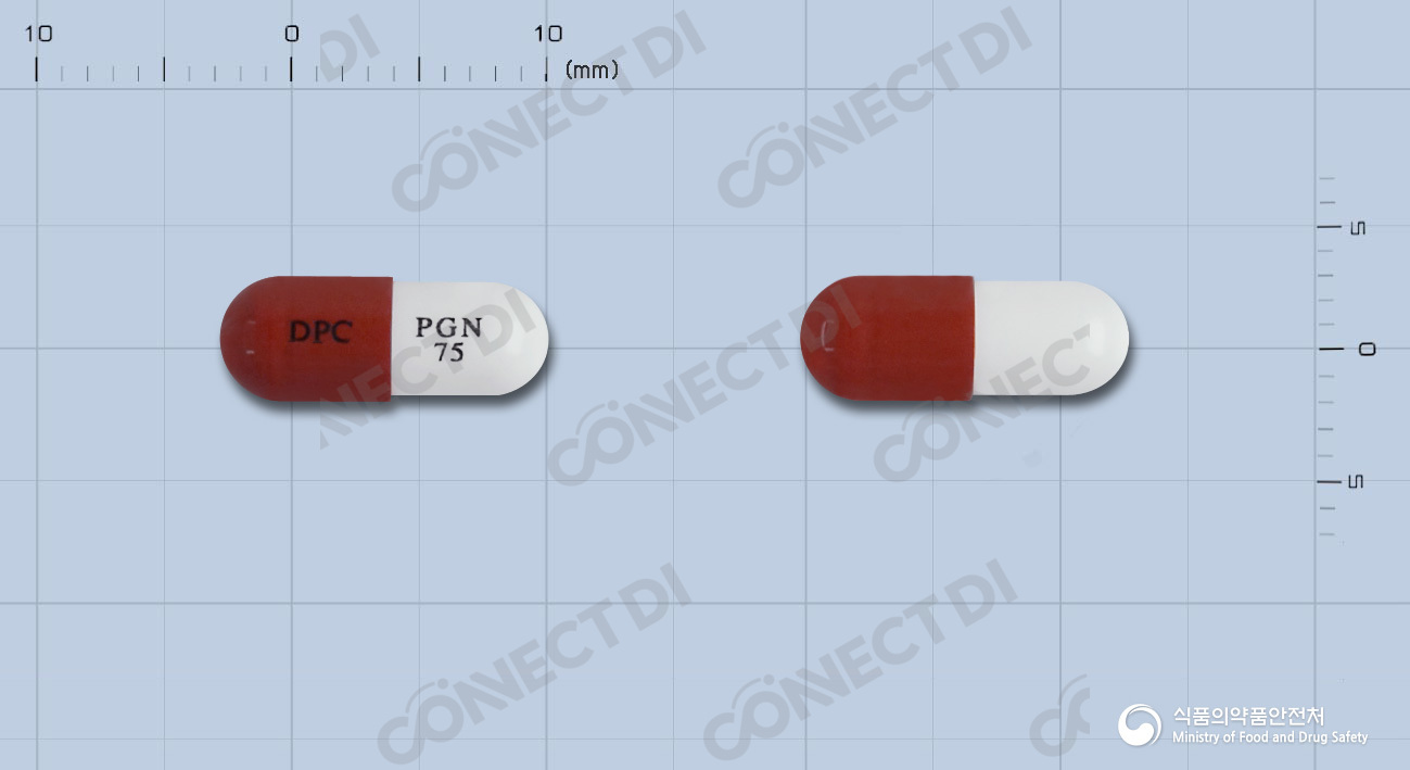 동광프레가발린캡슐 75mg