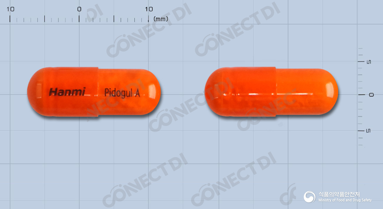 피도글에이캡슐